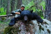 Bear 1