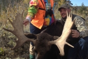 Moose 1